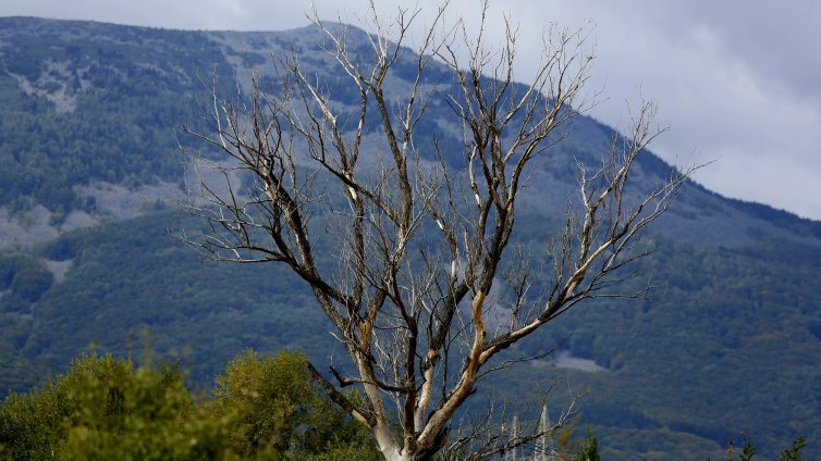 ПСС: Добри са условията за туризъм в планините