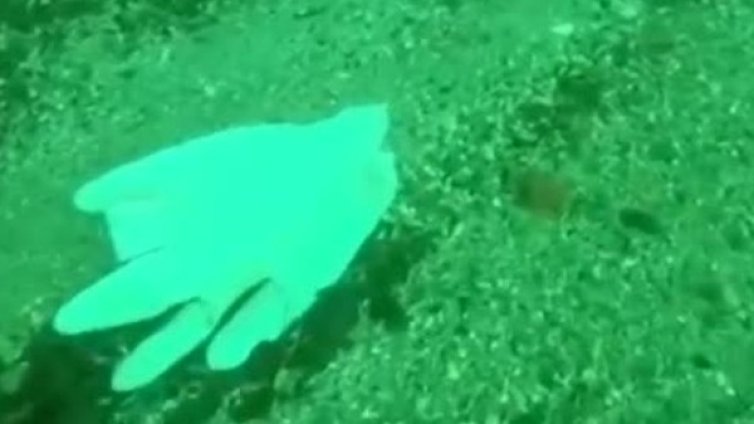 Феномен в замърсяването и вместо торбички, има маски и ръкавици