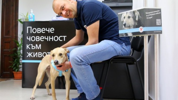 Има ли скок на случаите на насилие над животни при карантината?