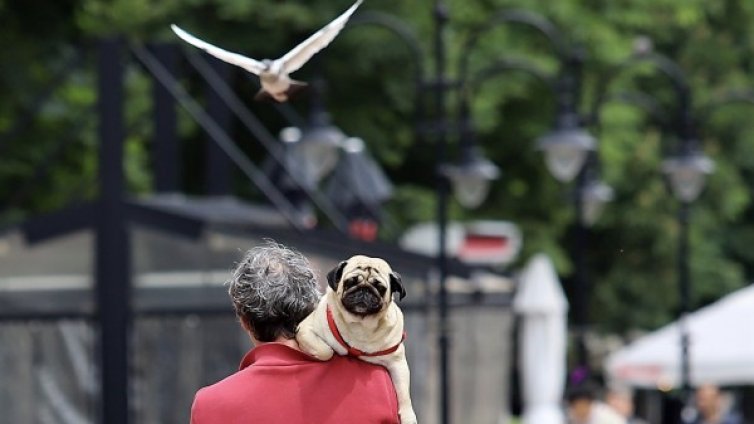 Изненадващо Кърджали с по-голям прираст на населението от София