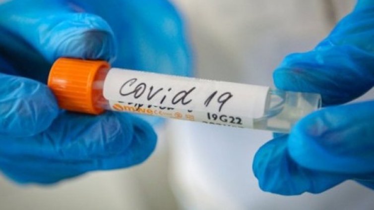 СЗО поиска увеличение на производството на дексаметазон