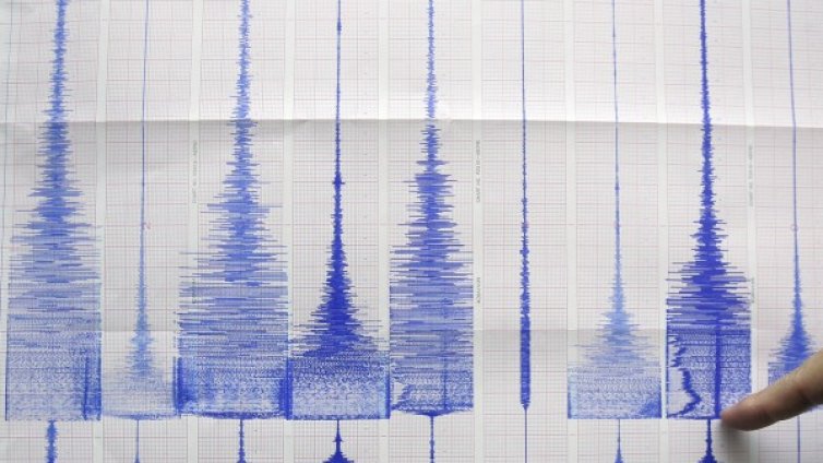 Силни трусове в Япония и Нова Зеландия
