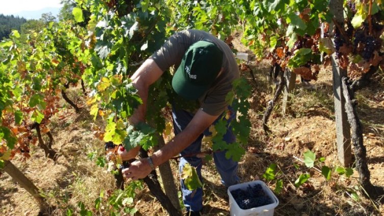 Кадастърът на 96%, колко са земеделците у нас? 