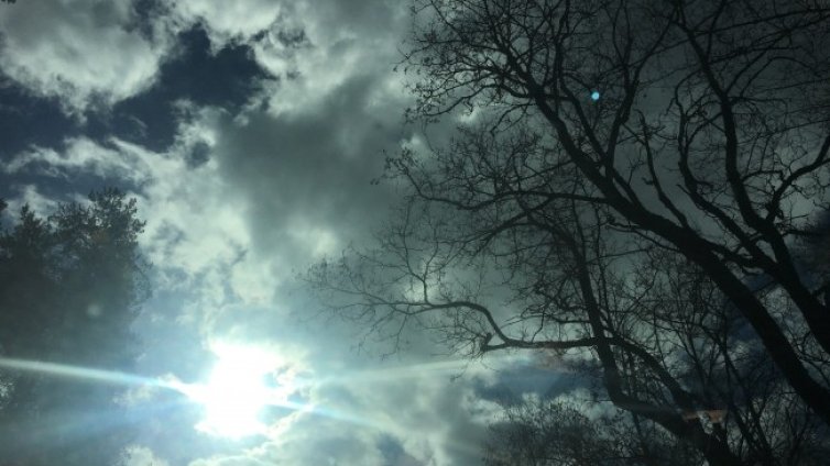 Жълт код  за вятър в 18 области