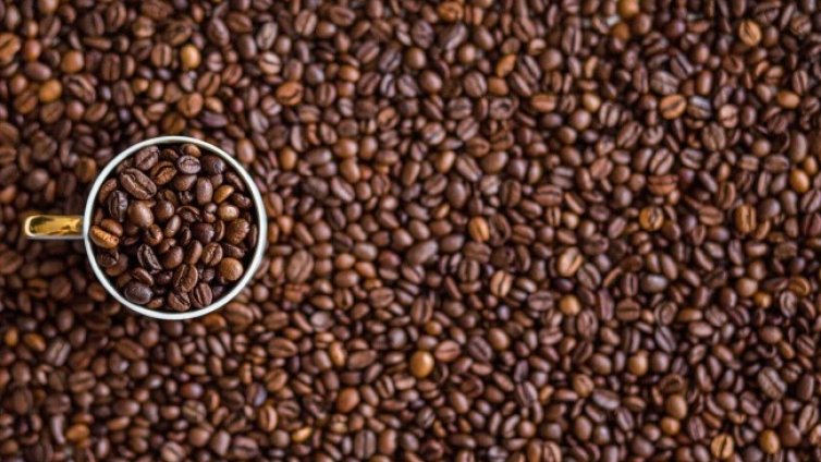 Глобалното затопляне убива кафето, производството му се свива с 50%