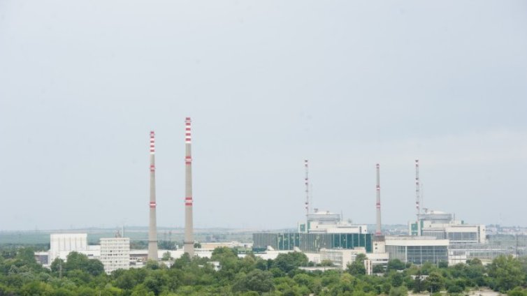Жена мамела с обещание за работа в АЕЦ "Козлодуй"