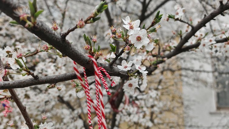 Слънчево ще е днес, температурите ще са до 18&deg;