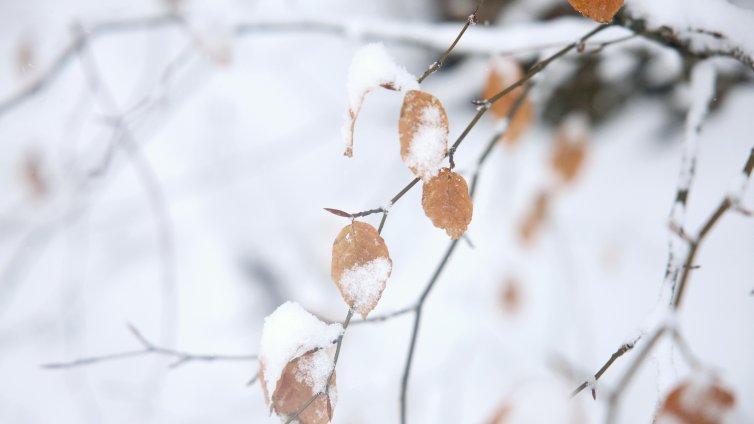 Времето днес: Слънчево, сутрина на места с мъгли