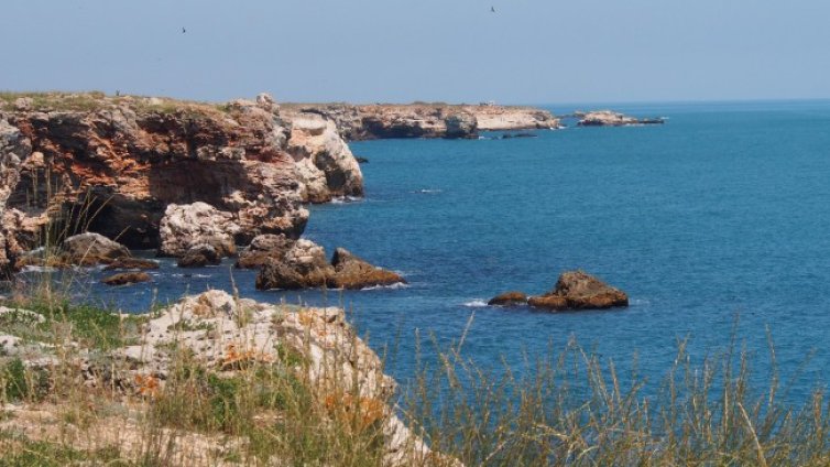 Непълнолетни се трудят по морето без разрешение