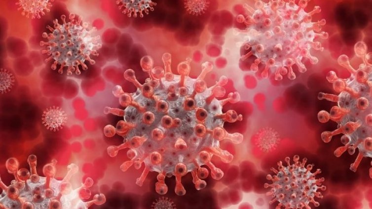 Над 25 млн. души са заразени в света с COVID-19