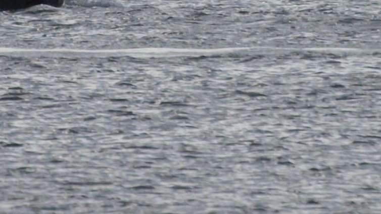 Мъж се удави в Синеморец, издирва се още един човек в морето