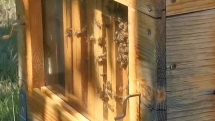 Драстичен спад в добива на мед, отчитат специалисти