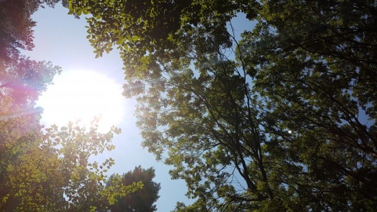 Температурите в петък ще са до 31&deg;C, почти без валежи