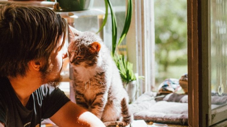 Зодиите, които предпочитат животните пред хората