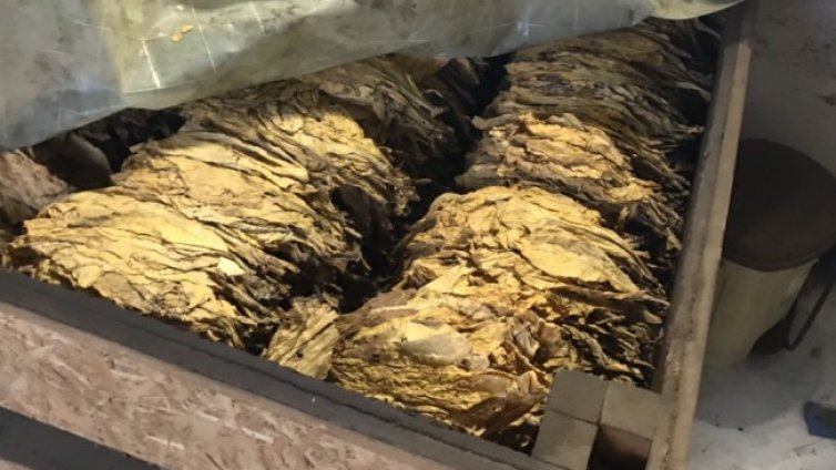 Полицията откри близо 2,5 тона нелегален тютюн в Катуница