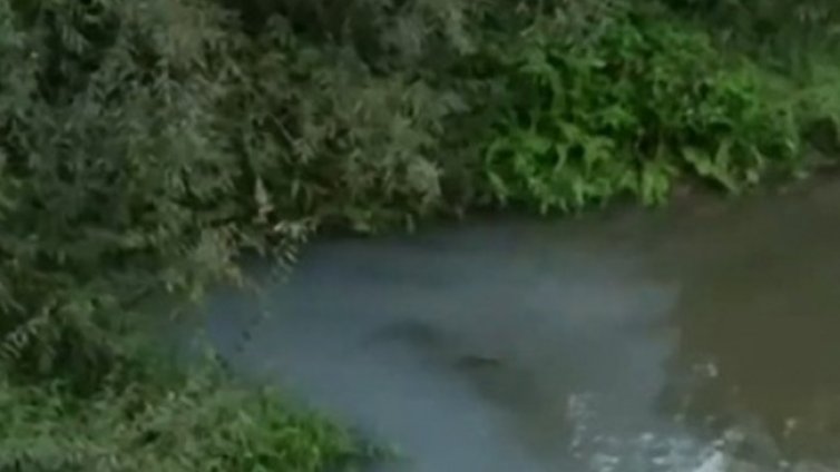 Водите на р. Русенски Лом отново в цветна гама