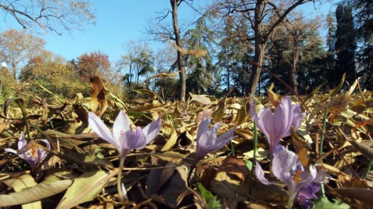 Времето ще е слънчево, градусите тръгват нагоре