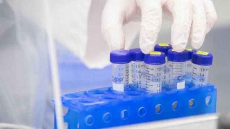 Проф. Балтов: Очакваме  случаите да спаднат с 50% за 2 седмици!