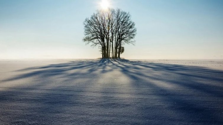 Първият сняг възстановил житните масиви в Добричко