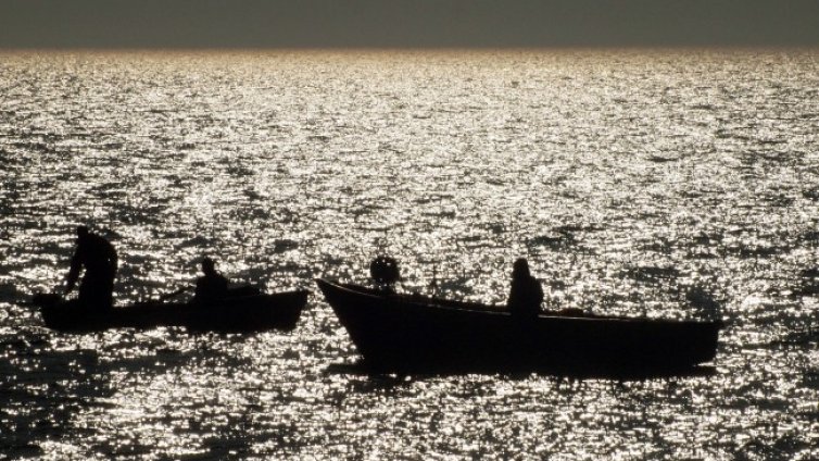 Слабо, но има: Рибари вадят чернокоп, на пазара по 8 лева за кило