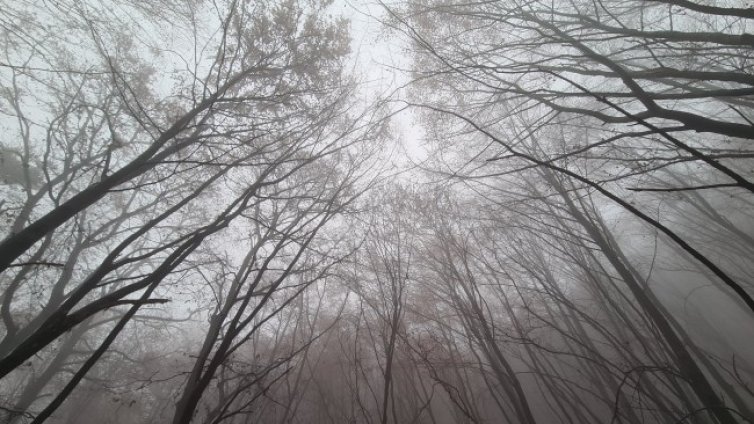 Днес ще е облачно и мъгливо, температурите до 10&deg;С