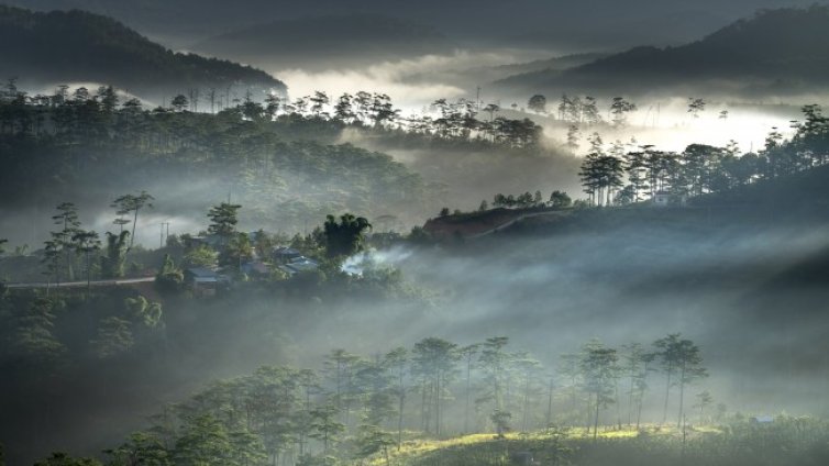 Годината започва със слънчево време, градусите - до 13