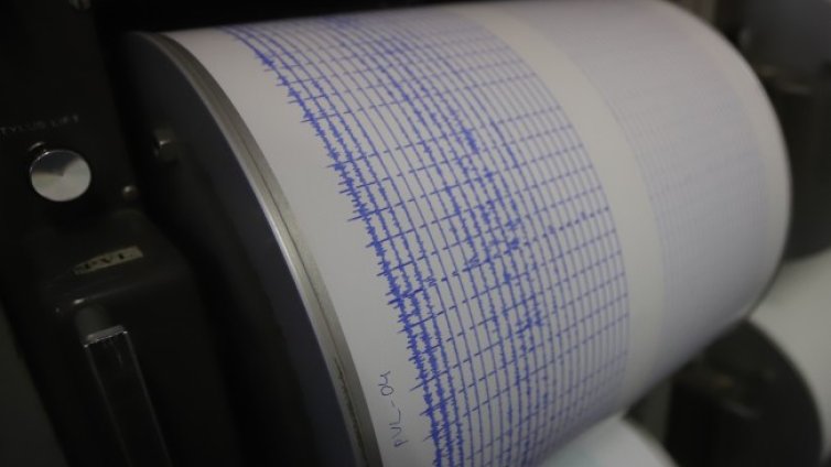 4.5 по Рихтер удари отново Петриня