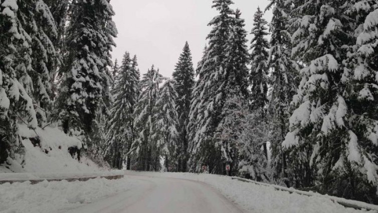 Валежи от сняг и дъжд обхващат страната