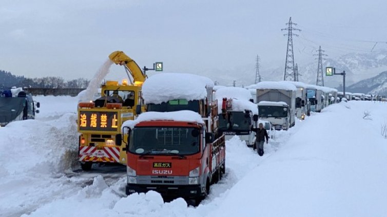 Снеговалежите в Япония взеха 8 жертви