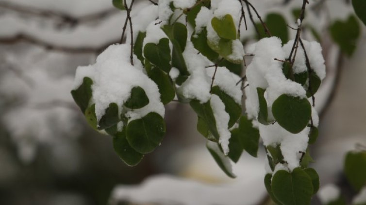 Жълт код в цялата страна за опасно студено време