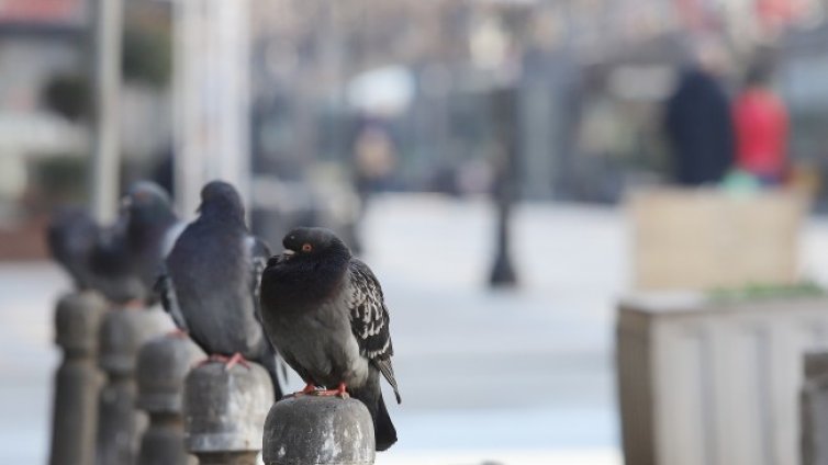 Облачността се увеличава, температурите стигат до 17 градуса