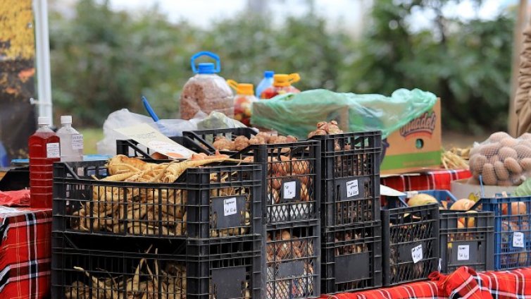 Лекар: Изяждаме 90% от спряната храна, внесена в страната