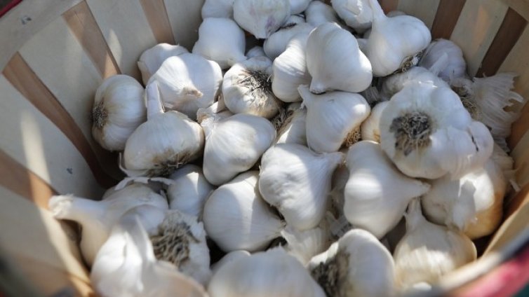 Загубили сте мирис? Руски учен съветва да вдишвате чесън