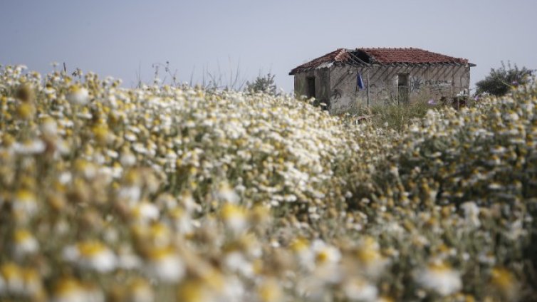Броят на населението на света ще спадне драстично: Какво ни очаква? 