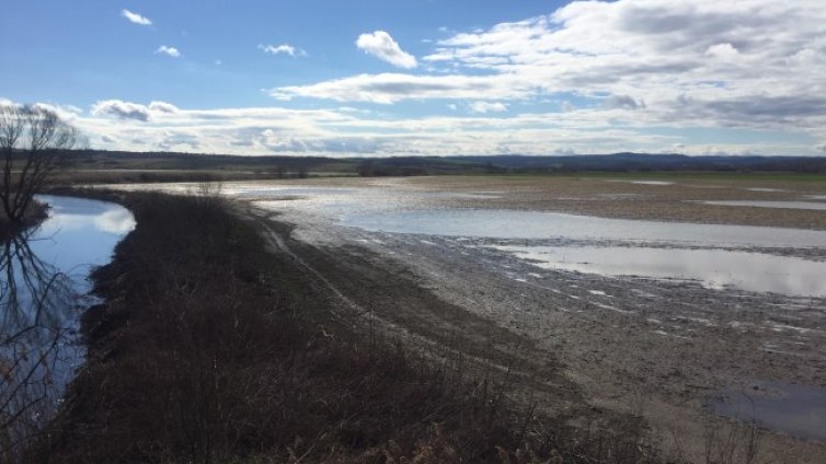 От 3 седмици Димчево е под вода, още месец извънредно положение
