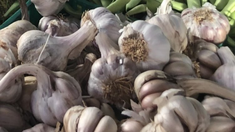 Чесънът е полезен, но може да бъде и опасен