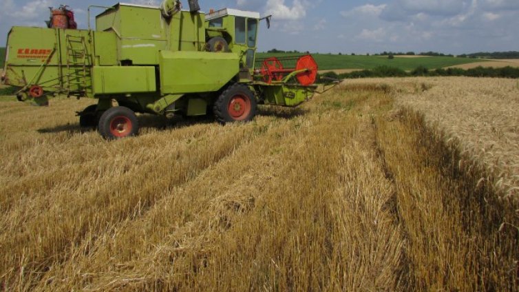 Цената на нивите в Добруджа пада, в Монтана и Видин - расте