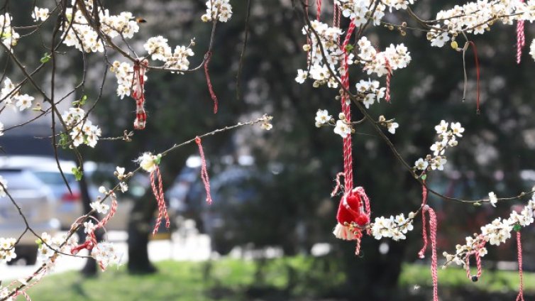 Слънцето се показва и времето се затопля, до 12&deg; днес