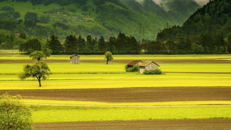 Зодиите, които предпочитат живота на село