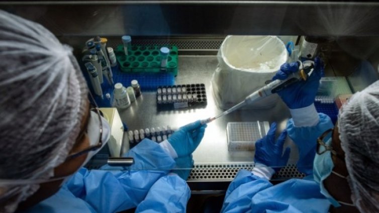 Засякоха нов вариант на COVID-19 в Бразилия 