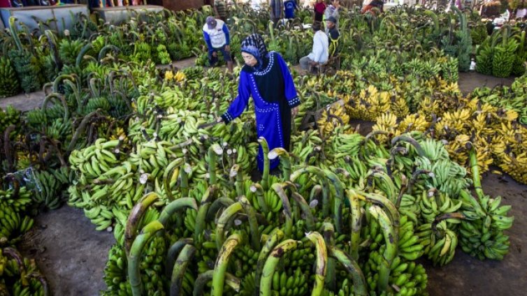 Сини банани с вкус на ванилия идват към пазара на Европа