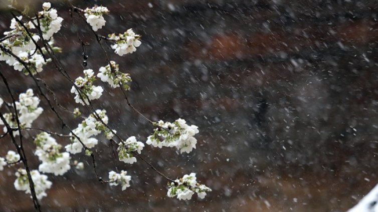 Идват валежи и гръмотевици &ndash; жълт код в общо 14 области в страната