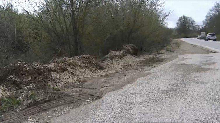 Протест срещу убийствата на пътя пред Съдебната палата в София