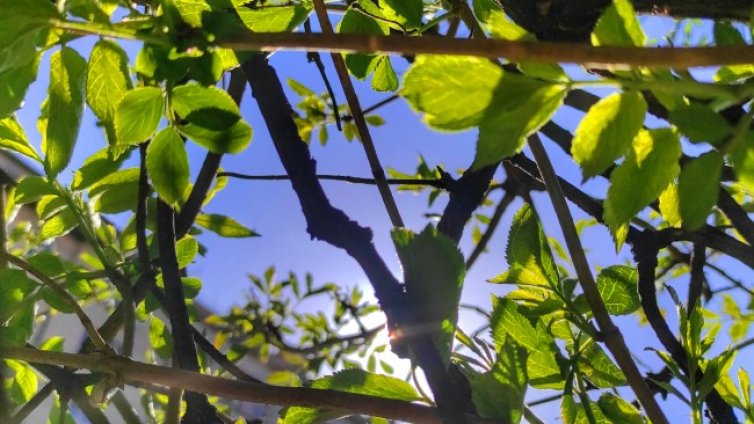 Слънчево и топло ще е днес, живакът стига 24&deg;