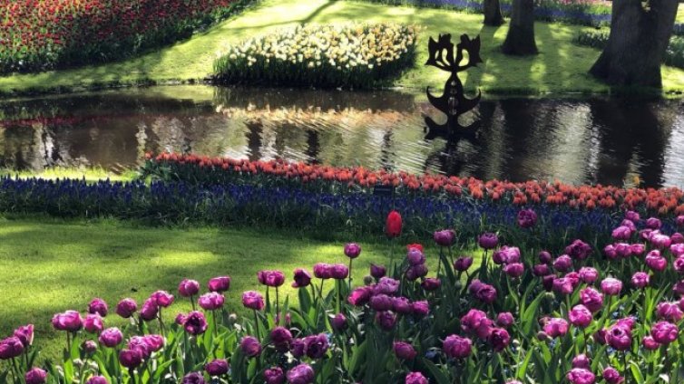 Ще е слънчево и топло, максималните температури - до  23&deg;С