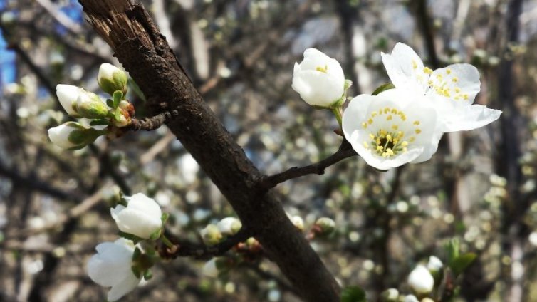 Облачен и дъждовен вторник, температурите до 22&deg;C