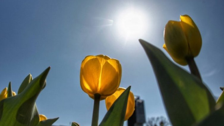 Топло и слънчево време на Великден, градусите до 29&deg;C