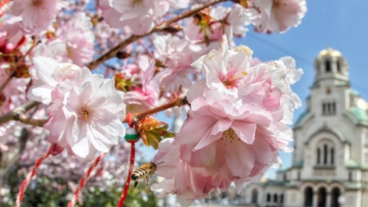 Топло и слънчево време на Великден, градусите до 33&deg;