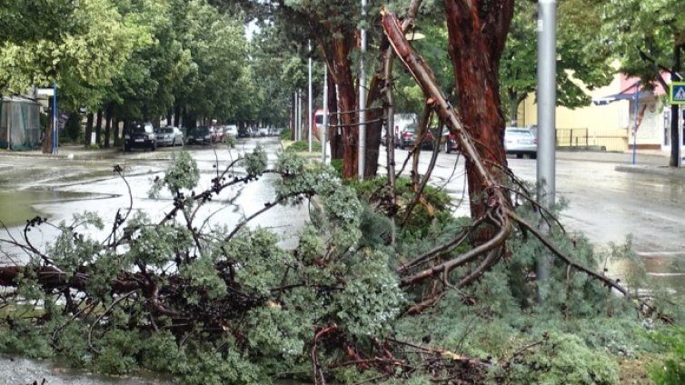 Силният вятър е прекъснал два електропровода в Разградско