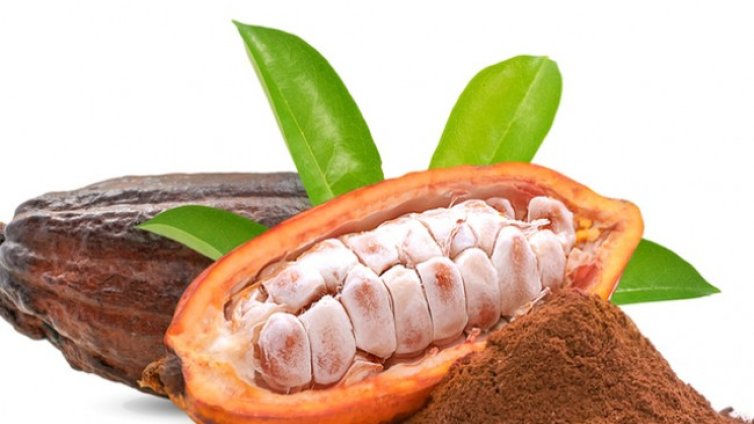 За какво е полезна какаовата вода?